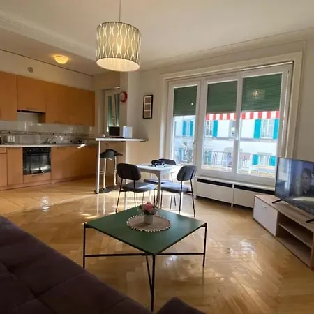 Large 7 Minutes Walking To Train Station Lausanne